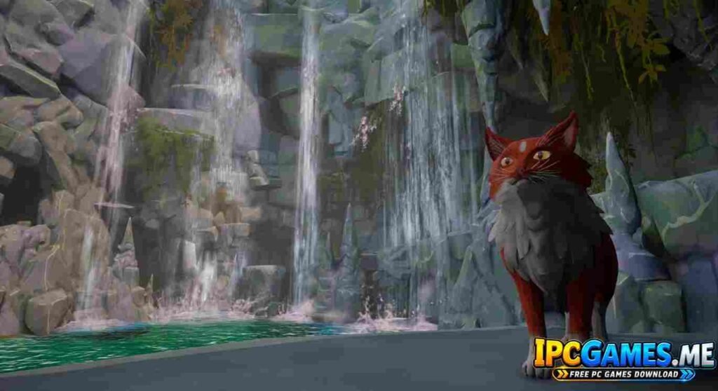Warrior Cats Clans of the Forest