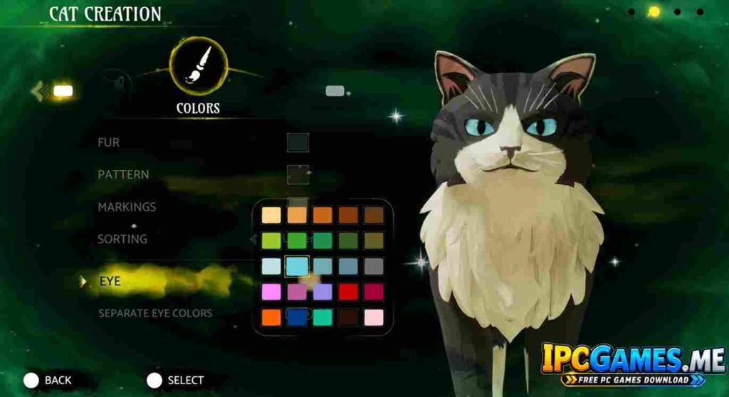 Warrior Cats Clans of the Forest
